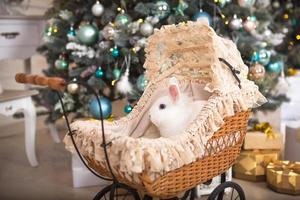 A white rabbit sits inside a retro baby stroller for dolls. Christmas decor, Christmas tree with lights garlands. New Year. Pets at home photo