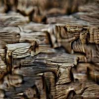 wooden texture background fiber light photo