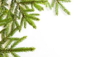 Natural frame of fresh green spruce branches on a white background. Christmas, new year, Christmas tree. Copy space photo