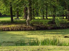 summer time in a park in northern germany photo