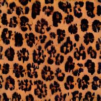 patrón de piel de leopardo. diseño africano. patrón textil de moda foto