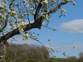 hiking in the german baumberge photo