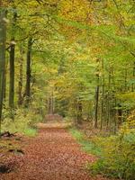 tiempo de otoño en westfalia foto