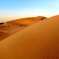 Sand dunes in the Sahara Desert photo