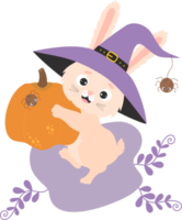 halloween mignon. lapin en chapeau de sorcière avec citrouille png