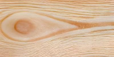 Brown wood texture. Abstract wood texture background. photo