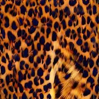 diseño de bufanda de seda redonda de leopardo, textil de moda. foto