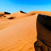 Sand dunes in the Sahara Desert photo