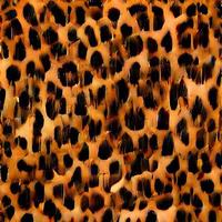 leopard rounds silk scarf design, fashion textile. photo