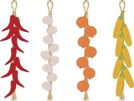 Hanging string of different harvested vegetables for storaging vector illustration