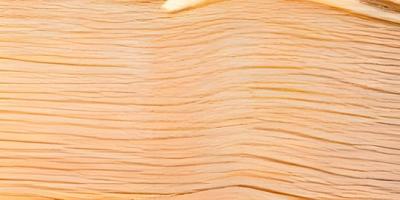 backgrounds and textures concept - wooden texture or background photo