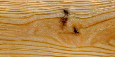 wood table floor with natural pattern texture. Empty wooden board background photo