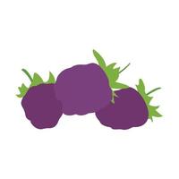 Flat berry vector image illustration design on white background