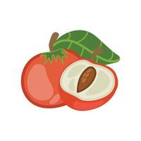 Isolated on white background, a set of fresh pink peaches with green leaves in picture style. Flat vector illustration.