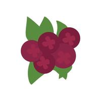 Cranberries, isolated purple berries, vector image, flat design