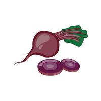 Isolated bits on a white background Half-leaved red beets, fresh. Vector illustration of vegetarian food