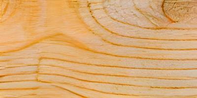 Wood texture background, wood planks photo