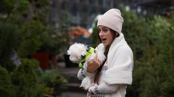 menina de inverno com cachorrinho olha para pinheiros video