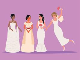 novias hermosas boda vector