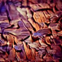 textura de madera con patrón natural foto