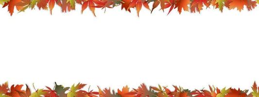 Seamless pattern Autumn leaves frame on white background,Wide banner design colourful of leavs pattern for Fall Sale, Discount or Promotion. Vector Illustration Autumnal with Special Offer backdrop