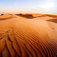Sand dunes in the Sahara Desert photo