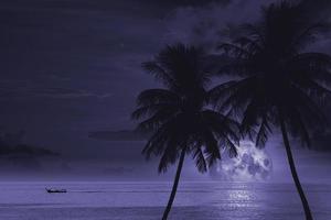 palm tree and sea at full moon on night sky photo