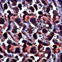 leopard fur pattern. African Design. fashion textile pattern photo