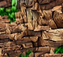Brown wood texture background coming from natural tree. The wooden panel has a beautiful dark pattern, hardwood floor texture photo