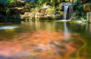cascadas del jardin japones. exuberante estanque koi tropical verde con cascada de cada lado. un exuberante jardín verde con cascada que cae por las piedras rocosas. zen y fondo pacífico. foto