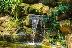 cascadas del jardin japones. exuberante estanque koi tropical verde con cascada de cada lado. un exuberante jardín verde con cascada que cae por las piedras rocosas. zen y fondo pacífico. foto