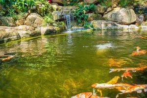 Japanese garden waterfalls. Lush green tropical Koi pond with waterfall from each side. A lush green garden with waterfall cascading down the rocky stones. Zen and peaceful background. photo