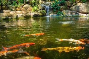 Japanese garden waterfalls. Lush green tropical Koi pond with waterfall from each side. A lush green garden with waterfall cascading down the rocky stones. Zen and peaceful background. photo