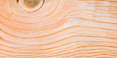 fondo de textura de madera. madera de teca. foto