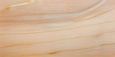 Light brown wooden planks, wall, table, ceiling or floor surface. Wood texture photo