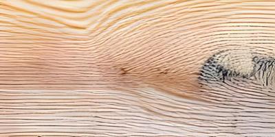 wood table floor with natural pattern texture. Empty wooden board background photo