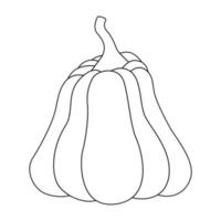 calabaza con un contorno negro. ilustración vectorial de una calabaza dibujada a mano sobre un fondo blanco. un elemento para el diseño decorativo de otoño, una invitación para halloween.icono de calabaza fondo blanco vector