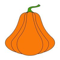 calabaza con un contorno negro. ilustración vectorial de una calabaza dibujada a mano sobre un fondo blanco. un elemento para el diseño decorativo de otoño, una invitación para halloween.icono de calabaza fondo blanco vector