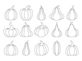 A set of pumpkins of various shapes, with a black outline. Vector collection of hand-drawn pumpkins on a white background. Elements for autumn decorative design, an invitation to Halloween.Pumpkin