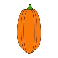 calabaza con un contorno negro. ilustración vectorial de una calabaza dibujada a mano sobre un fondo blanco. un elemento para el diseño decorativo de otoño, una invitación para halloween.icono de calabaza fondo blanco vector