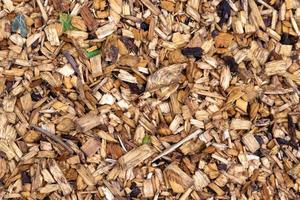 Wet dark softwood chips with foliage evenly spread photo