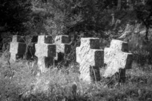 Very old tombstones made of red sandstone overgrown with grass and weeds photo