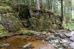 Waterfall in the Black Forest, with trees, rocks and ferns photo