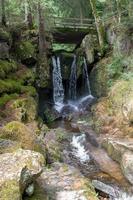 cascada en el bosque negro, con árboles, rocas y helechos foto