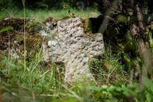 lápida única muy antigua hecha de arenisca roja cubierta de hierba y malezas foto