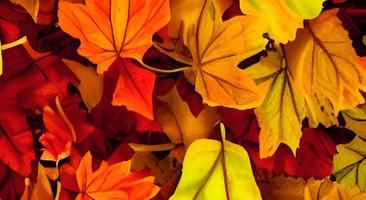 fondo de hojas de otoño rojo y naranja foto