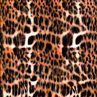leopard fur pattern. African Design. fashion textile pattern photo