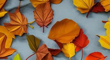 Red and Orange Autumn Leaves Background photo