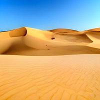 Sand dunes in the Sahara Desert photo