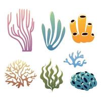 coral and reef vector